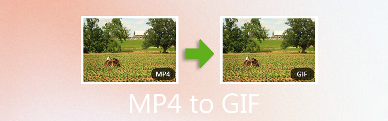 Mp4 naar GIF