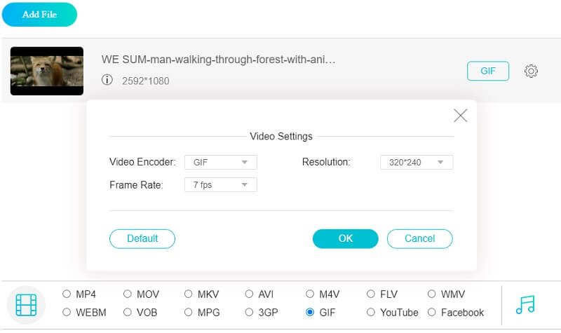 vidmore converter