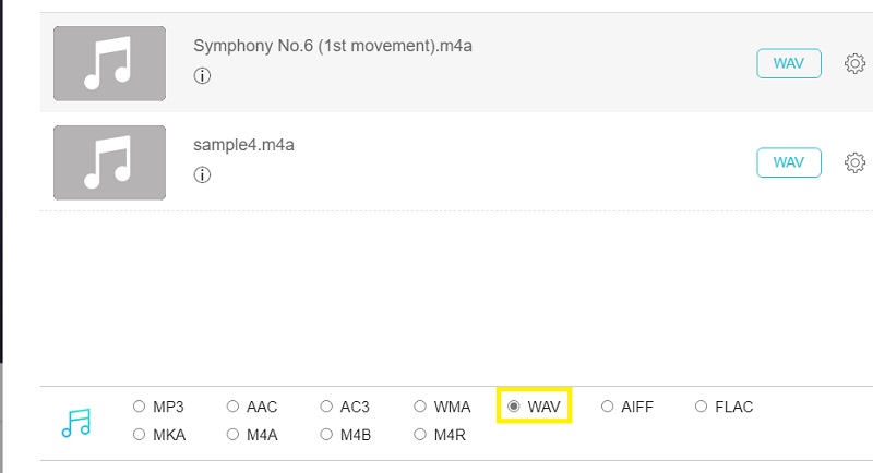 Vidmore Foac Selecteer formaat M4A naar WAV