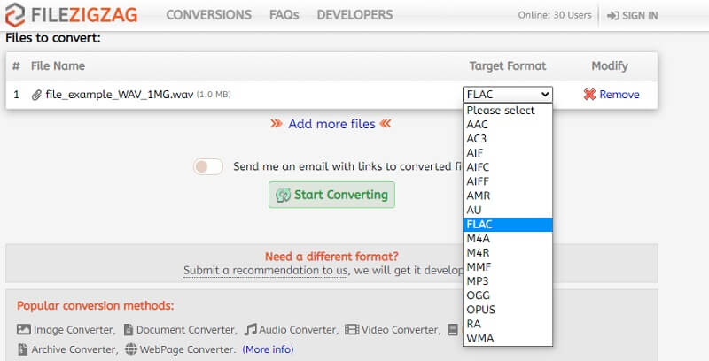 Interfaccia del convertitore audio FileZigZag