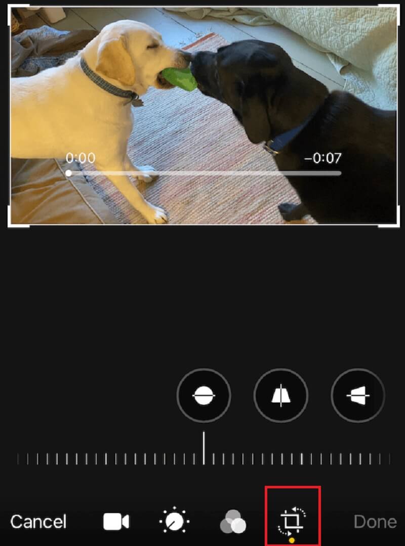 พลิกวิดีโอใน IOS Photos Crop