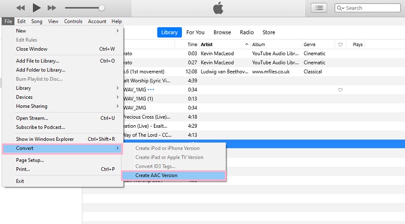 iTunes המר ל-AAC