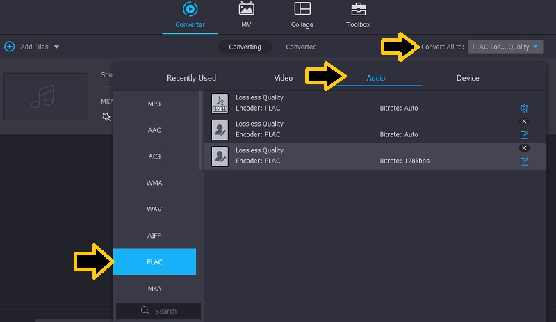 Vidmore Çıktı Formatını Seçin