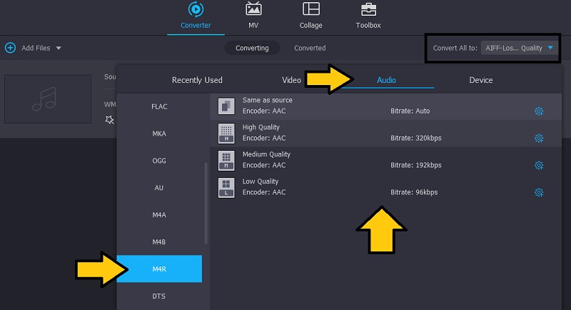 Formato de salida Vidmore Select M4R