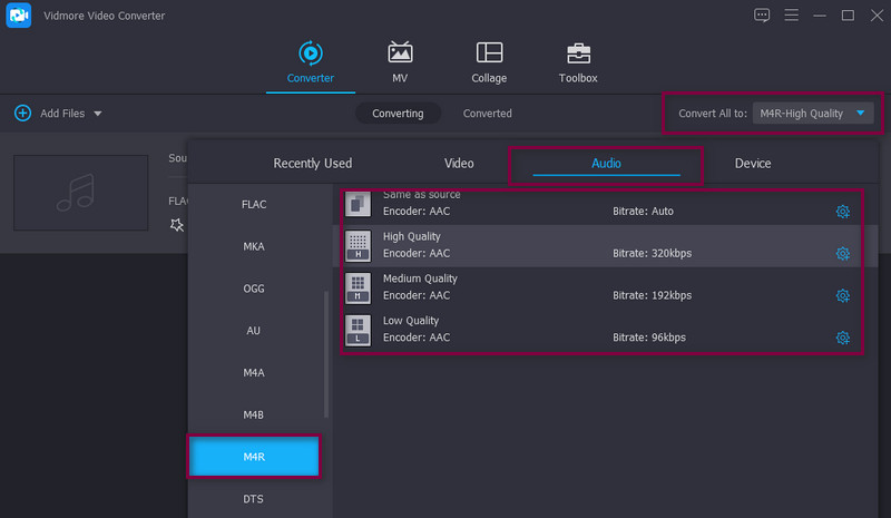 Vidmore Select Outputs Format