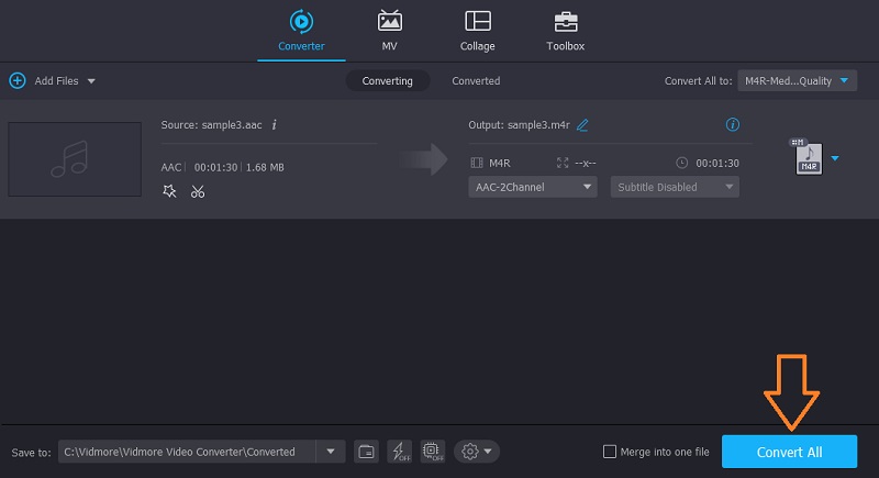 Vidmore Start Conversion Process