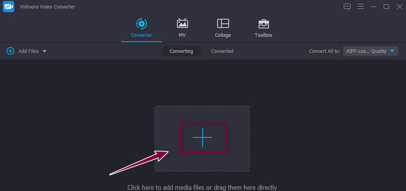 Vidmore Upload FLAC File