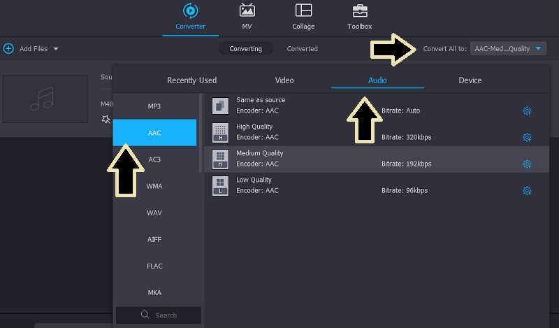 Vidmore VC Выбрать формат AAC