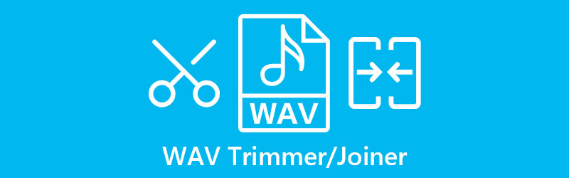 WAV trimmer snedker