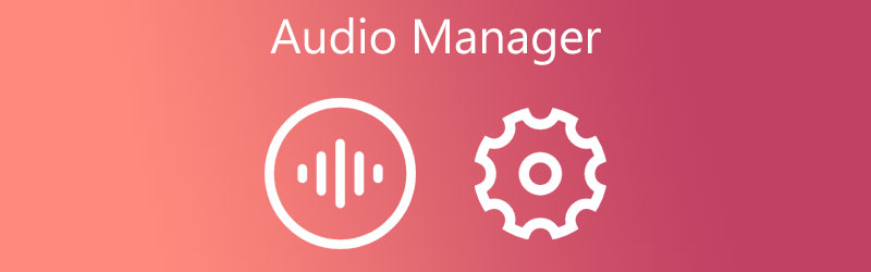 Audio Manager