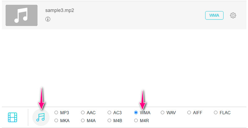 Vidmore Free Select Output Formats