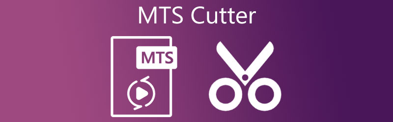 MTS Cutter