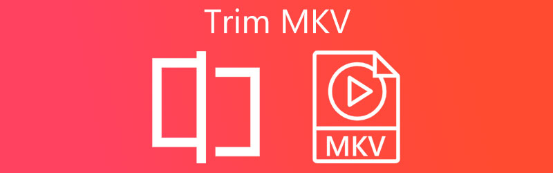 TRIM Il MKV