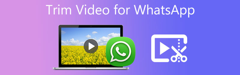 Trim video til WhatsApp