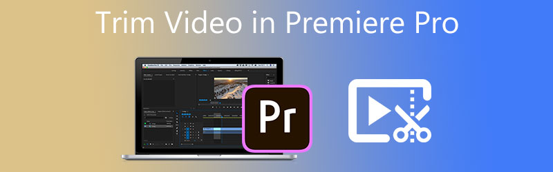 Обрезать видео в Premiere Pro