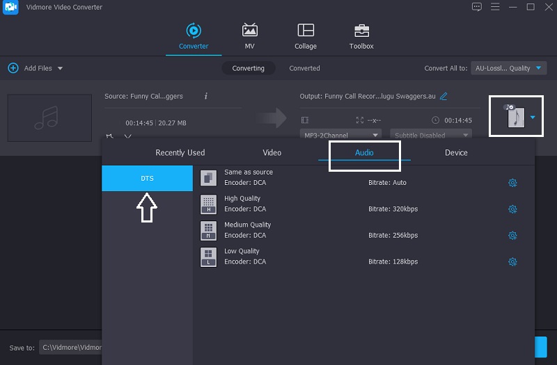 Pilih DTS sebagai Format Vidmore