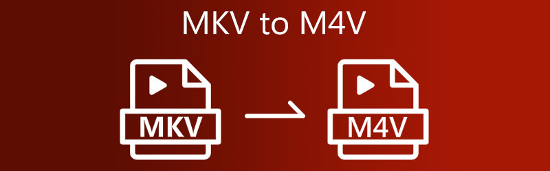 MKV ke M4V