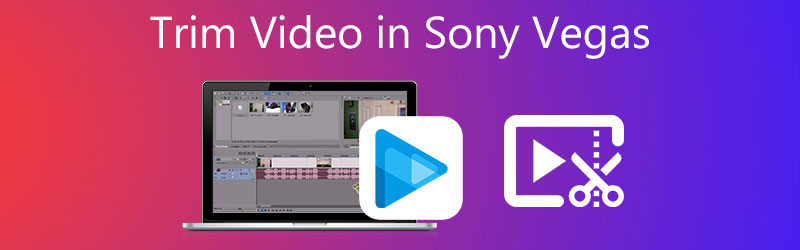 Sony Vegas'ta Videoyu Kırp