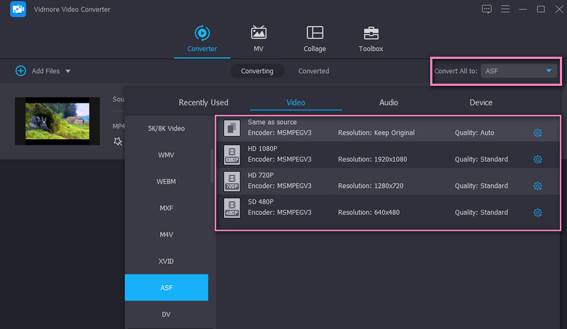 Vidmore Imposta i formati di output