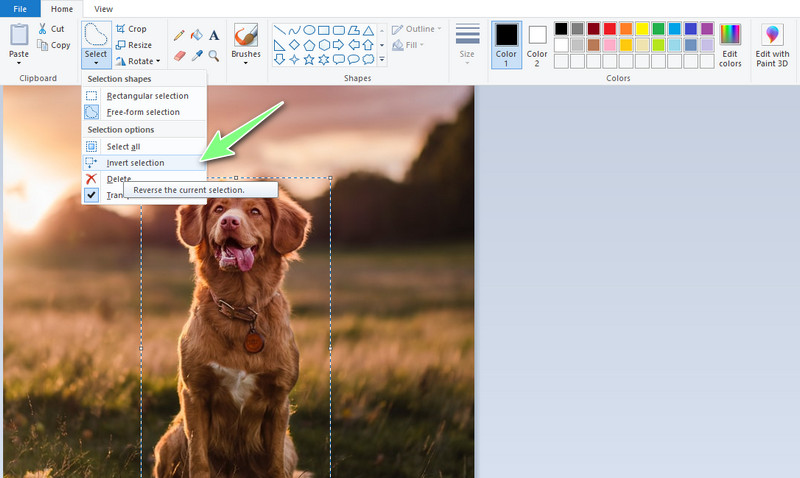 Remove Background in Paint – Your Ultimate How-to Tutorial