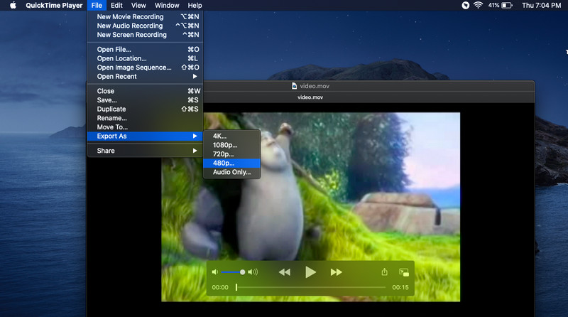 Video di compressione Quicktime