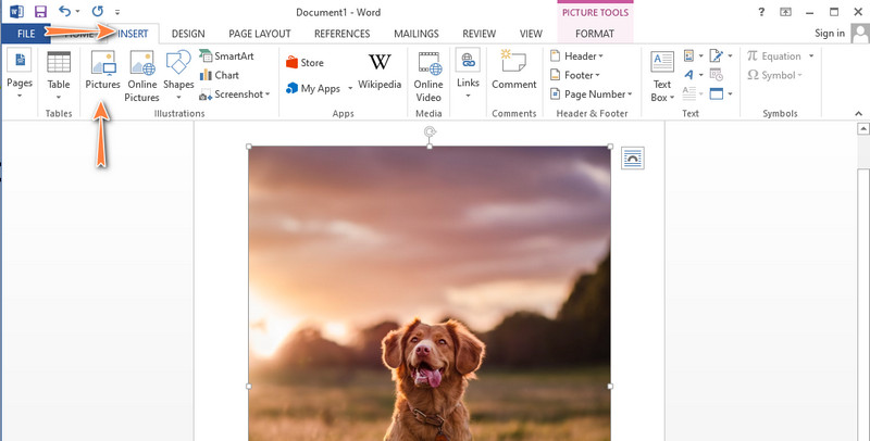 Guide on How to Remove the Background of a Picture in Word Easily