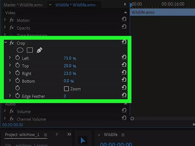 remove watermark from video premiere pro