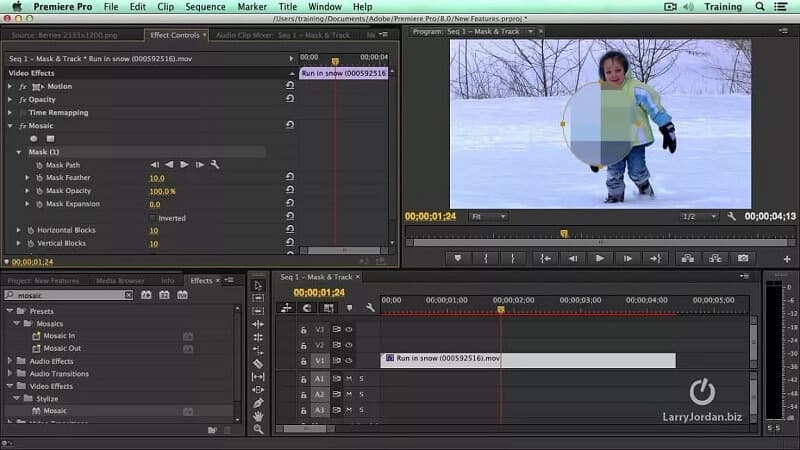 Masking Effect Premiere Pro