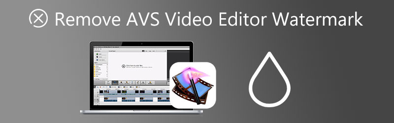 Eliminați filigranul AVS Video Editor