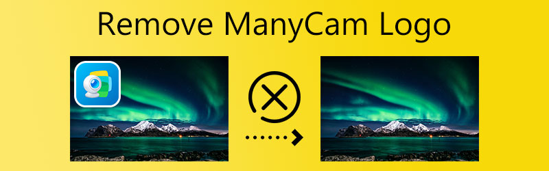 Távolítsa el a ManyCam logót