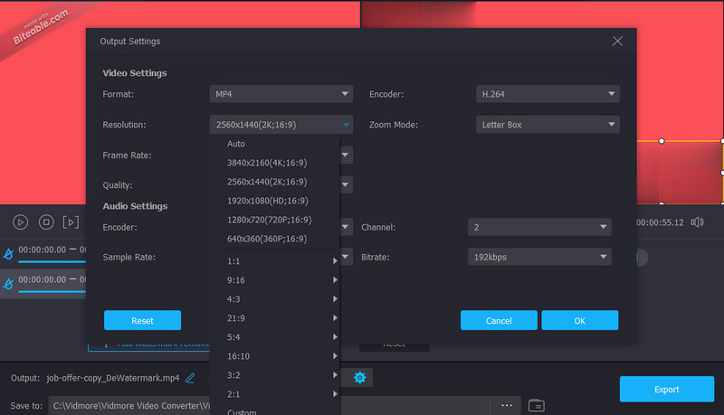 Save the Video Output