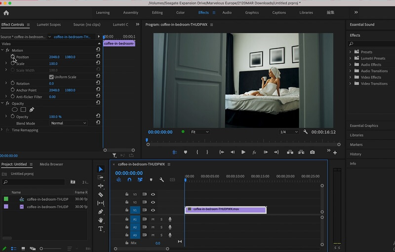 Efectos de zoom Premiere Pro