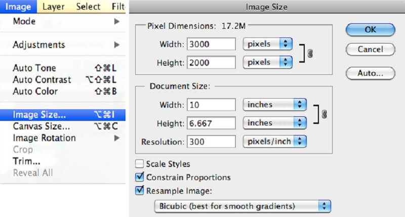 Image Size Photoshop VM