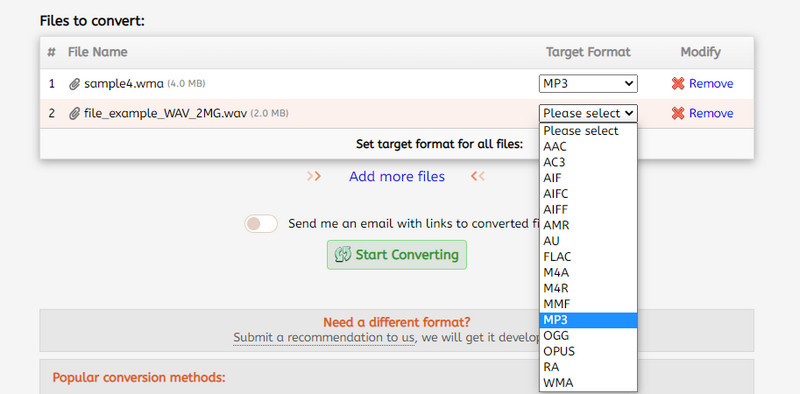 FILEZIGZAG Program Interface