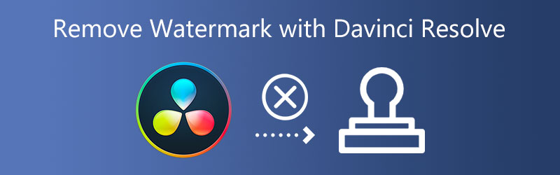 Rimuovi la filigrana con Davinci Resolve