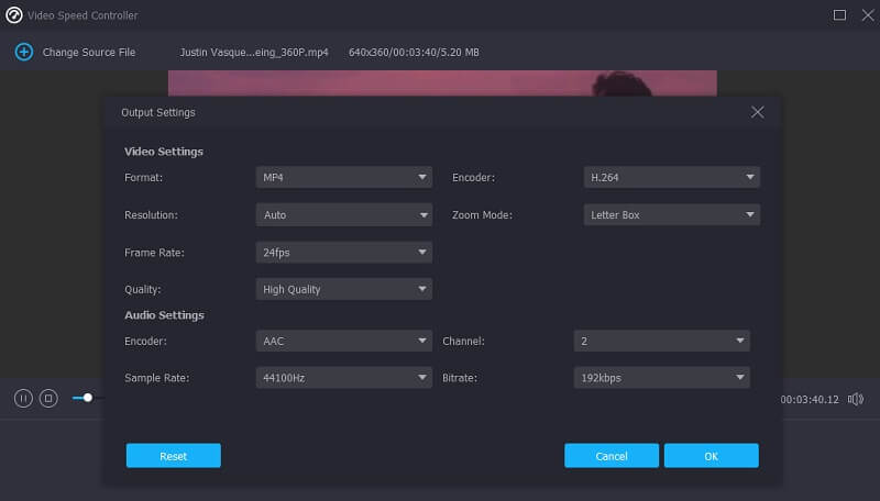 Modify Setting Vidmore