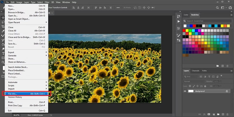 Visualizza i metadati Photoshop