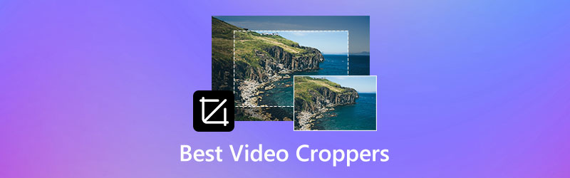 1 beste videocroppers