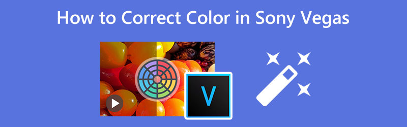 color correction sony vegas pro 14 free download