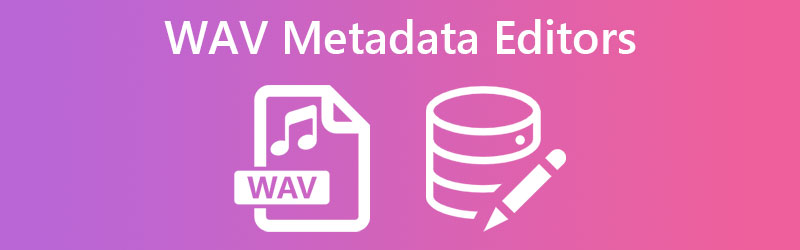 סקירת Wav Metadata Editor