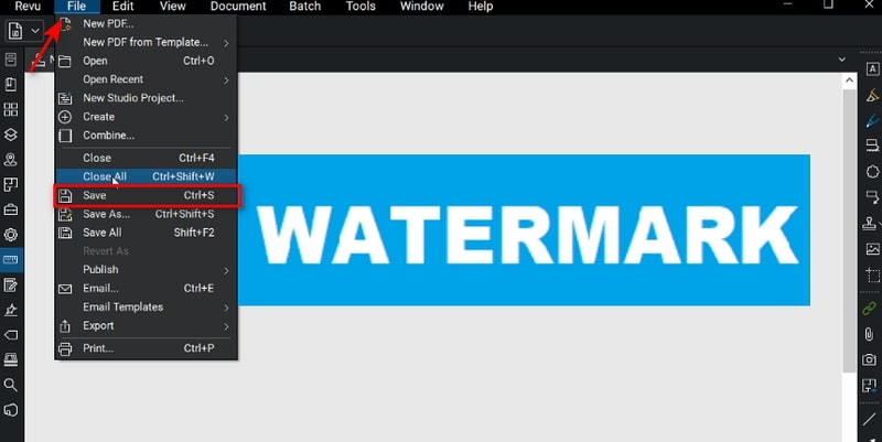 Save Waterrmark