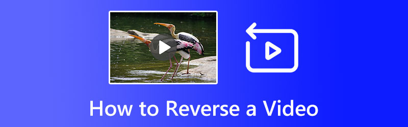 How to Reverse a Video