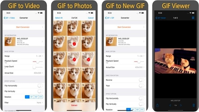 GIF Cracker Convertitore video GIF