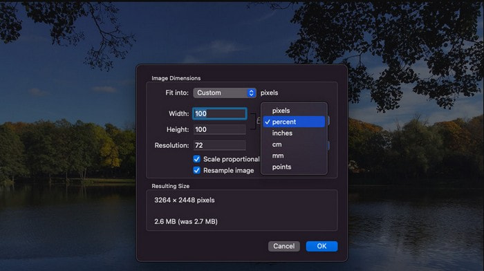 Preview Compress Images Offline on Mac