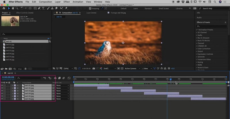 After Effects Premiere Windows ve Mac'te Slayt Gösterisi Nasıl Yapılır?