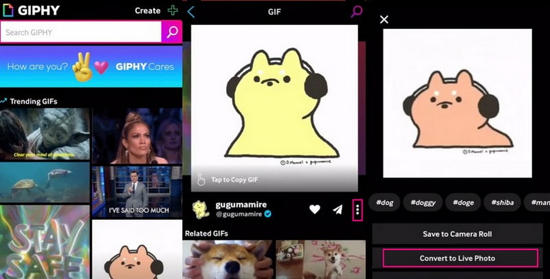 Hur man konverterar GIF till Live Photo med Giphy