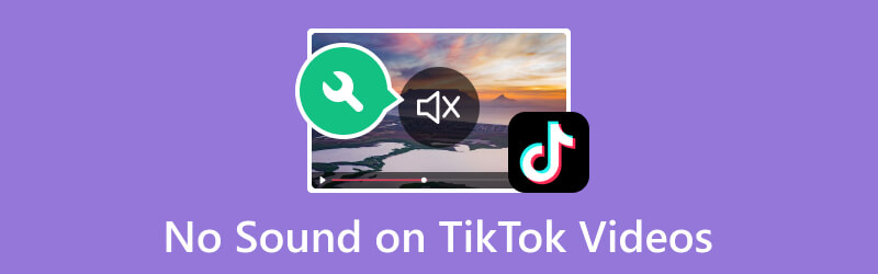 TikTok 동영상에서 소리가 나지 않음