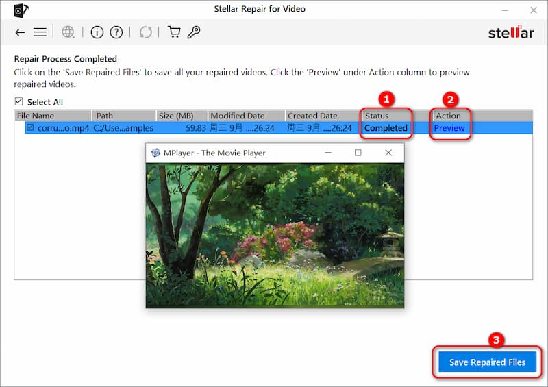 Xem trước và lưu video của bạn trong Stellar Repair for Video