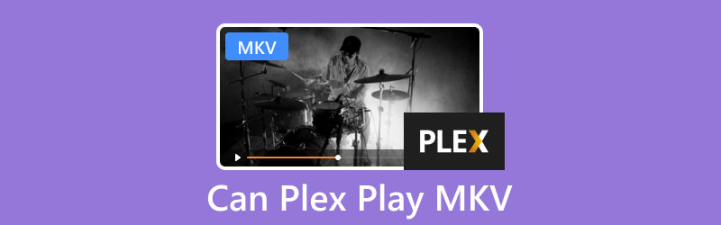 Plex에서 MKV 플레이