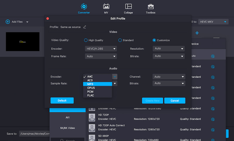 Vidmore Video Converter Customize Encoder